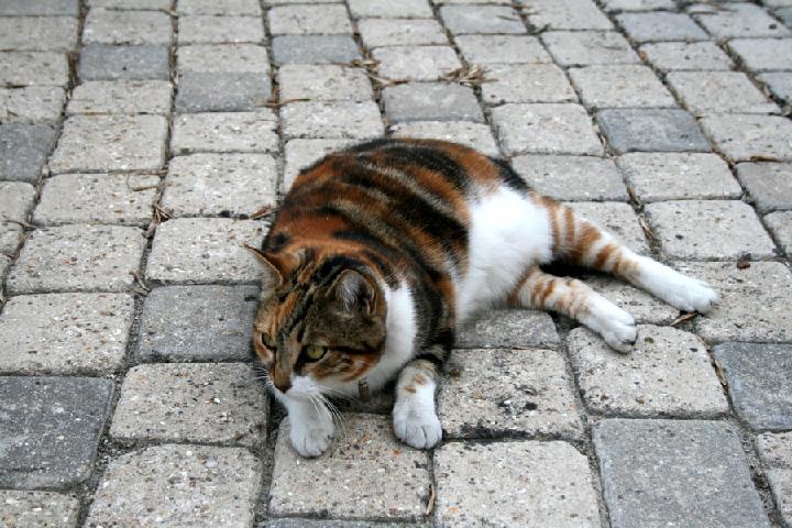 2009-08 Mia 003 .JPG